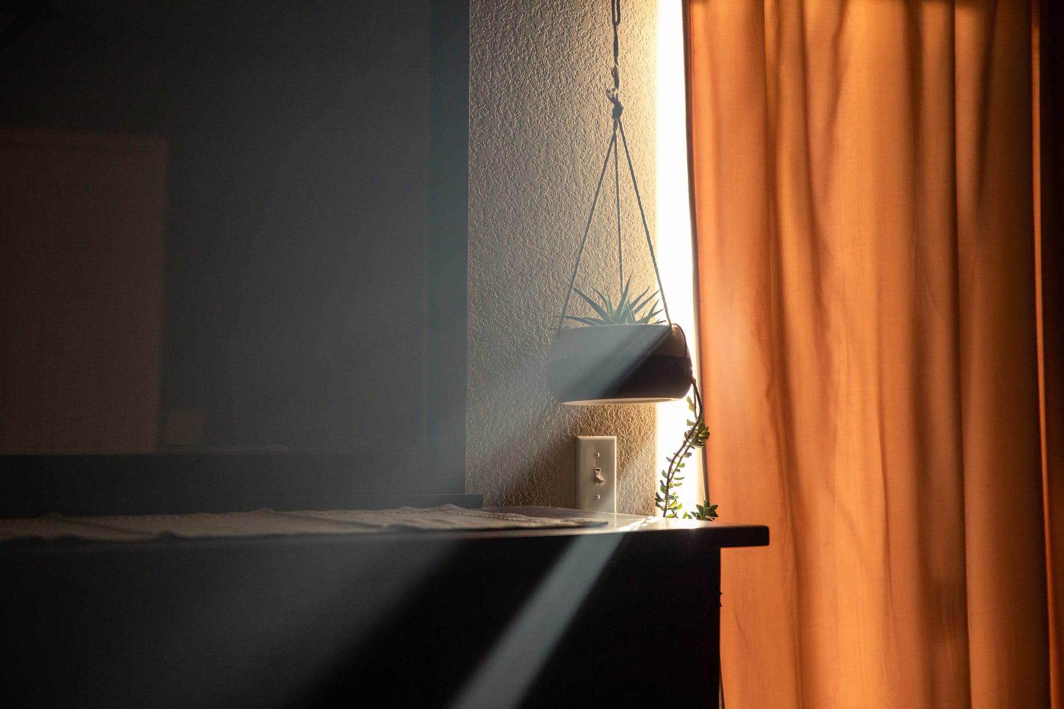 Plant hanging by a window with the sun shining through the curtain