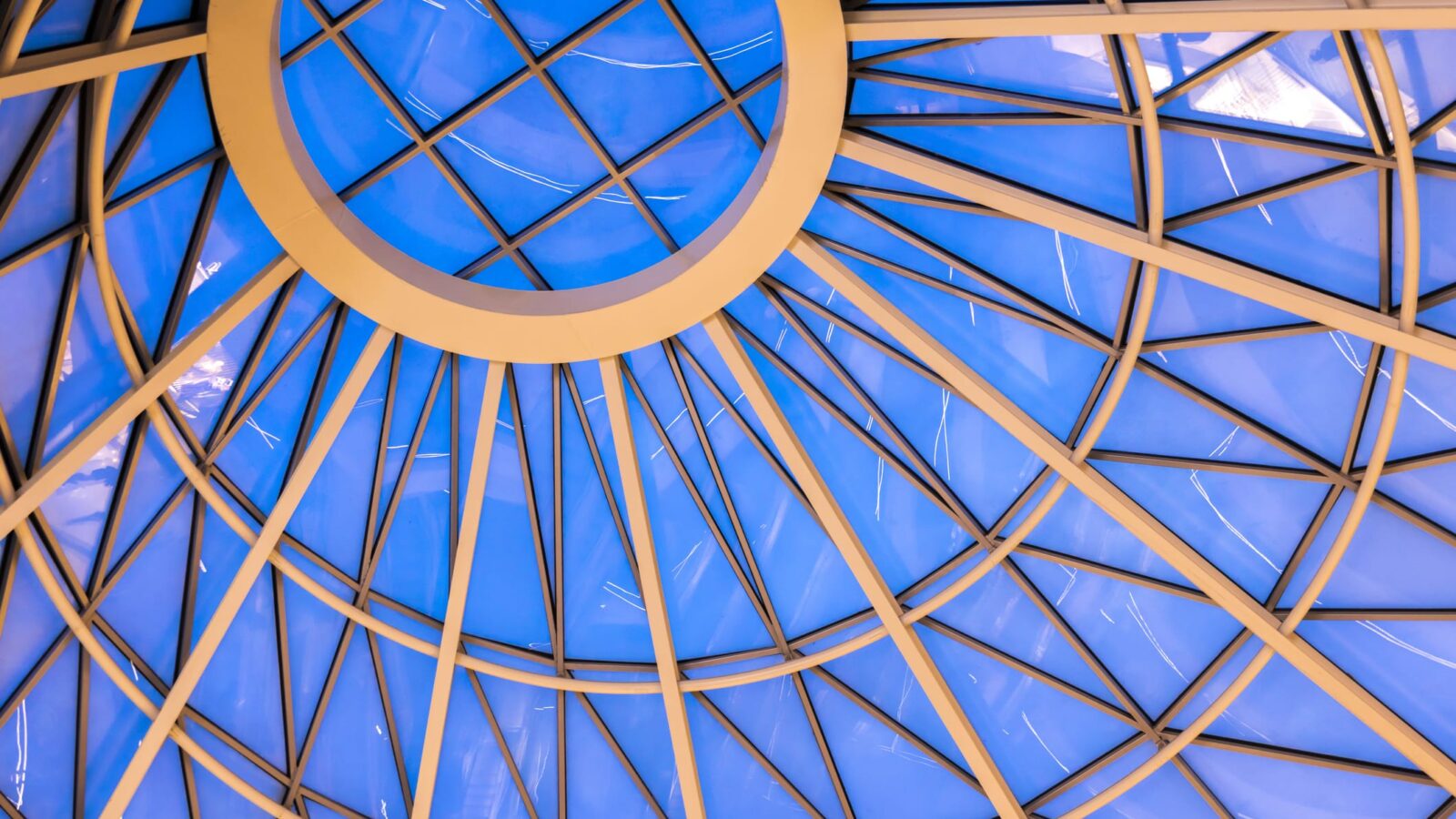 How a major non-profit refreshed its brand tracker to cut bias and drive internal impact